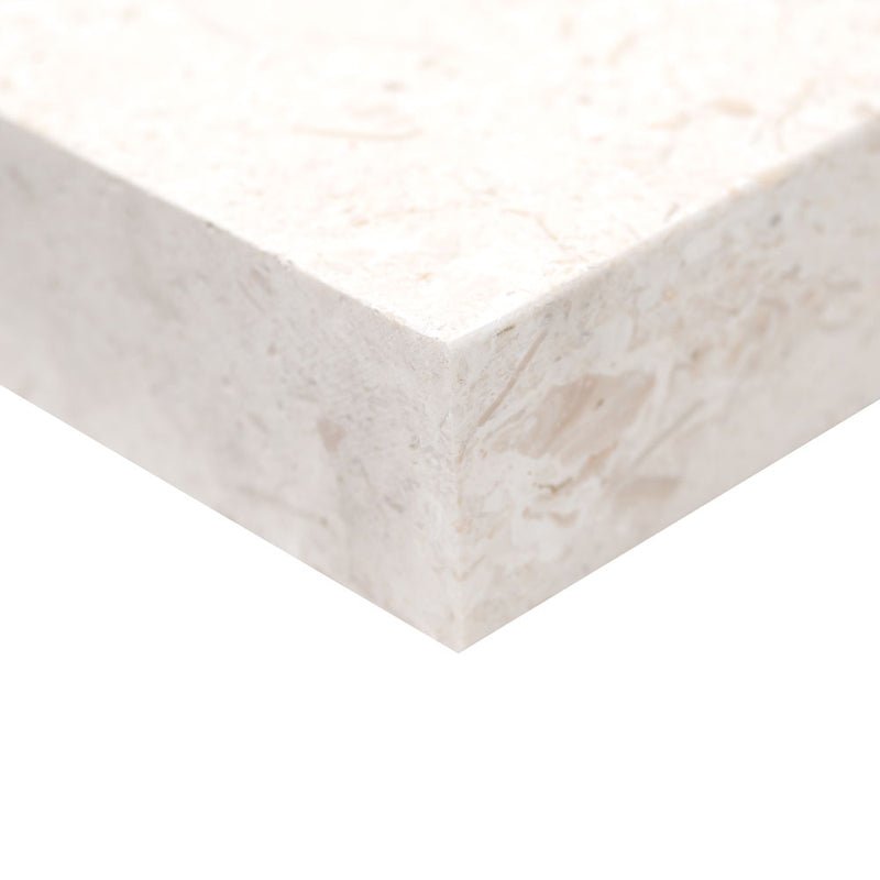 Mayra white limestone 12x24 tumbled pool coping  msi collection LCOPLMAYWHI1224T-EE product shot edge view