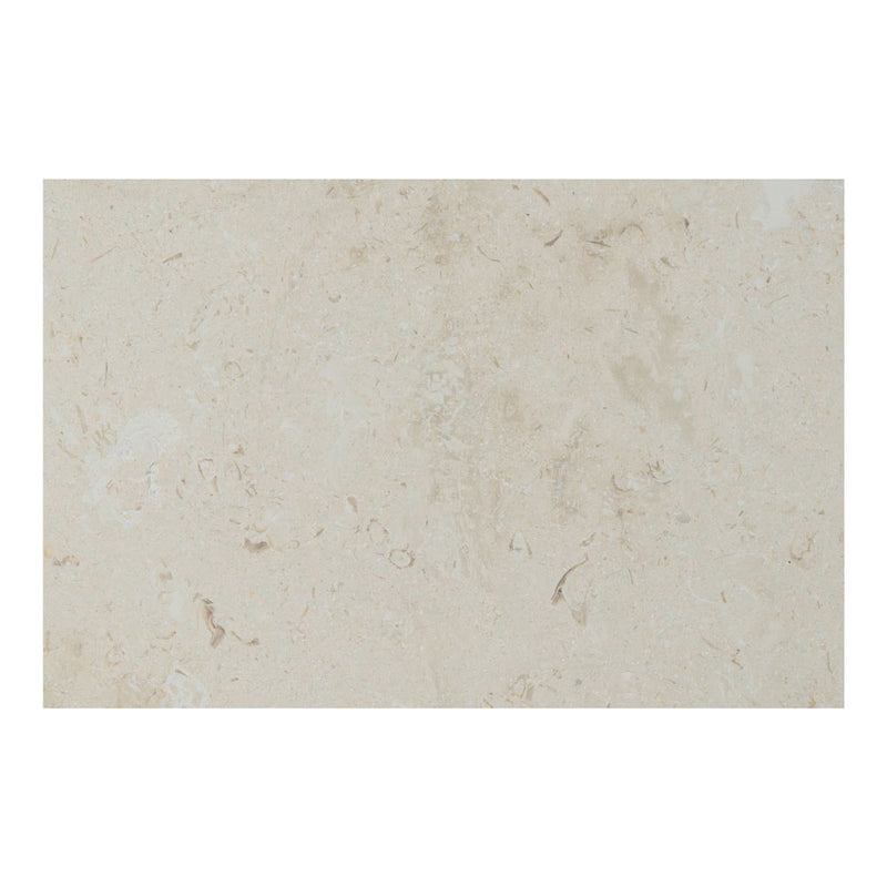Mayra white limestone 16x24 honed unfiled eased edge pool coping  msi collection LCOPLMAYWHI1624T-EE product shot edge coping view