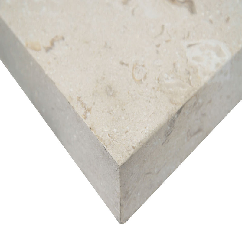 Mayra white limestone 16x24 honed unfiled eased edge pool coping  msi collection LCOPLMAYWHI1624T-EE product shot edge profile view