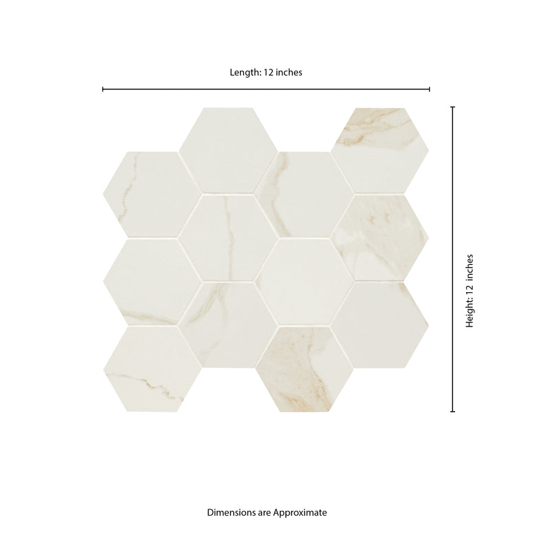 Eden Calcatta 12"x12" Hexagon 3" Matte Porcelain Mosaic Tile product shot profile view 2