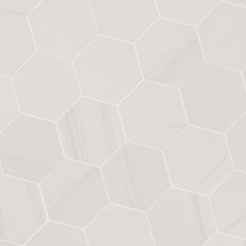 Eden Dolomite 12"x12" Matte 3" Hexagon Porcelain Mosaic Tile product shot angle view
