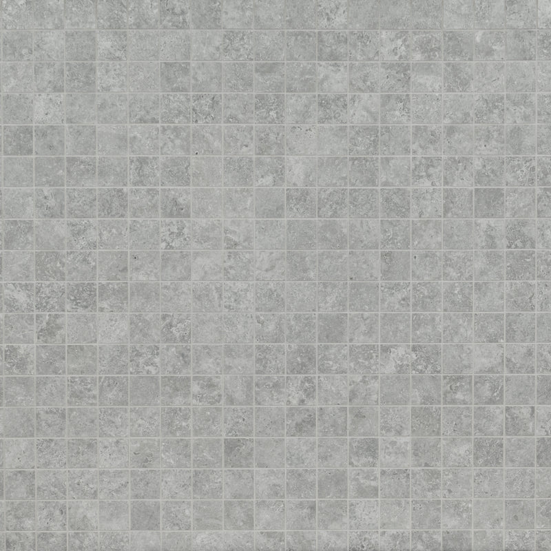 Legions Lunar Silver 12"x12" Matte Porcelain Floor And Wall Tile product shot wall view 2