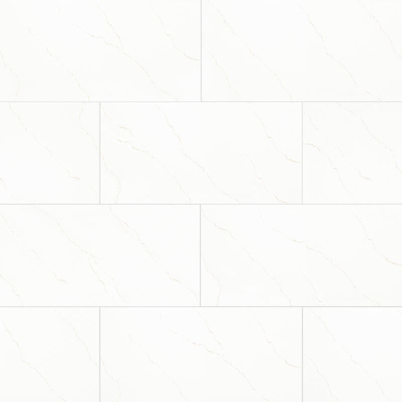 Miraggio Gold 24"x48" Porcelain Polished Floor and Wall tile - MSI Collection product shot wall view