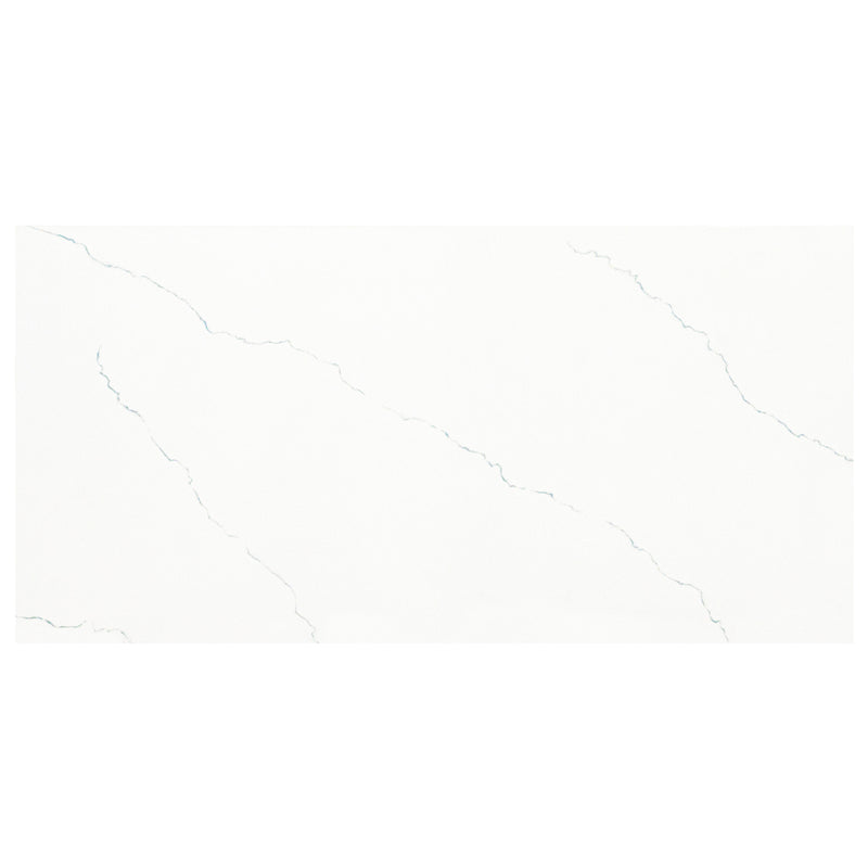 Miraggio Gray 12"x24" Porcelain Polished Floor and Wall tile - MSI Collection product shot wall view
