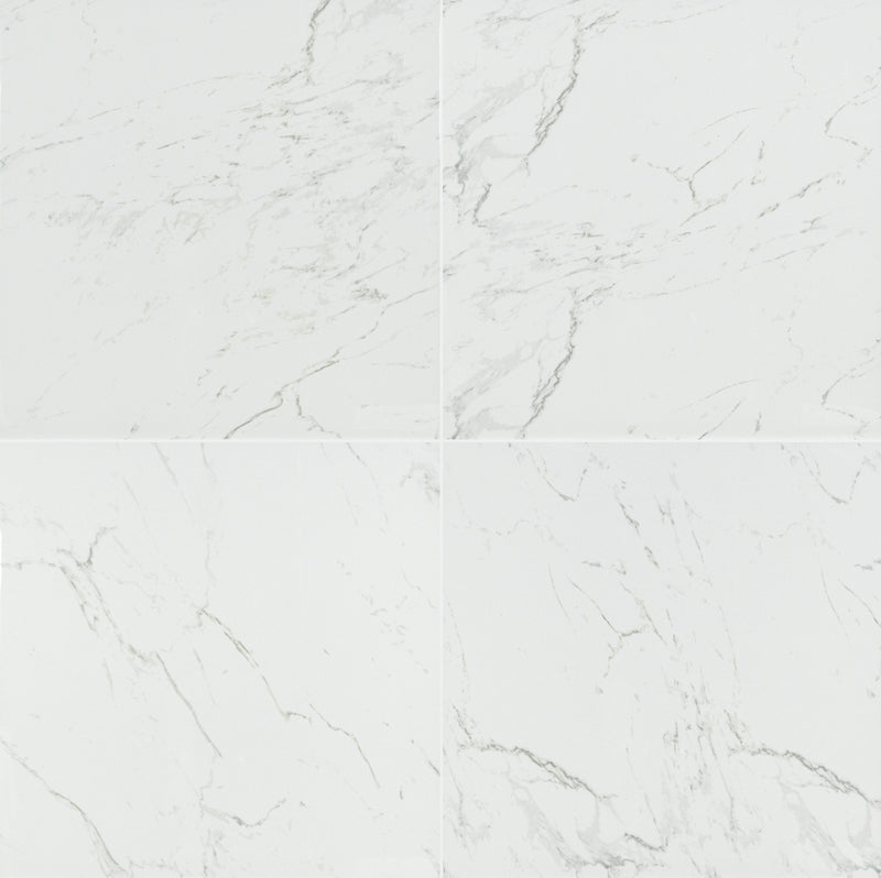 Pietra Carrara 24"x24" Polished Porcelain Floor and Wall Tile room product wall view