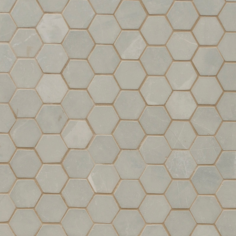 Sande Gray 12"x12" Matte  2" Hexagon Porcelain Mosaic Tile product shot wall view 2
