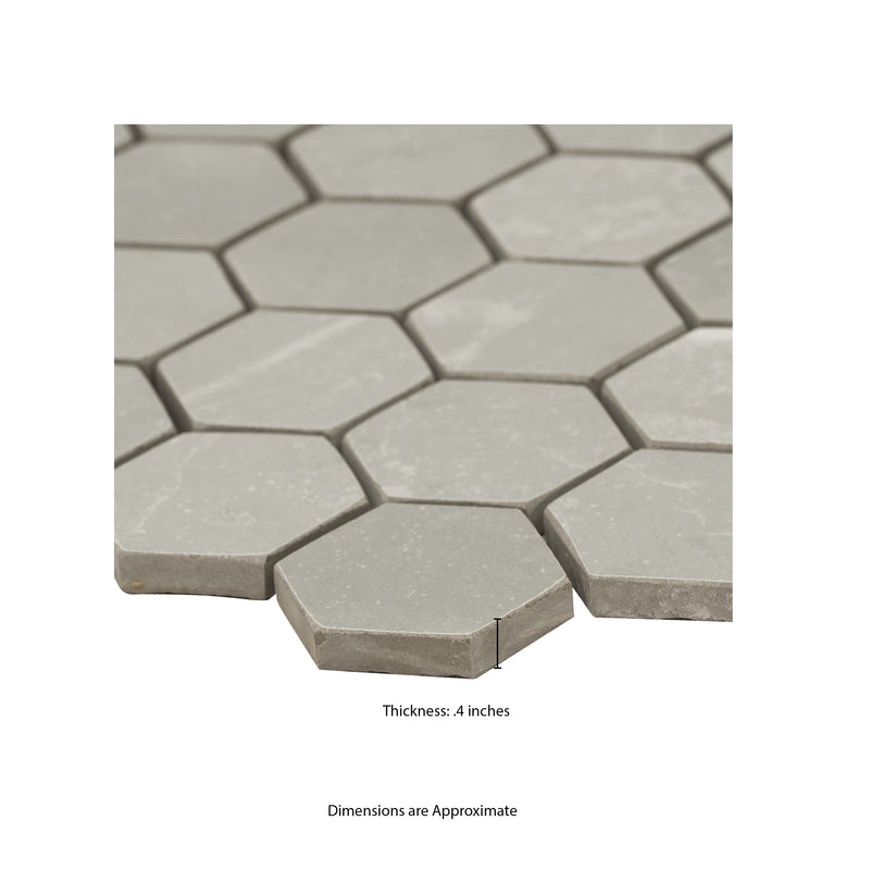 Sande Gray 12"x12" Matte  2" Hexagon Porcelain Mosaic Tile product shot profile view 2