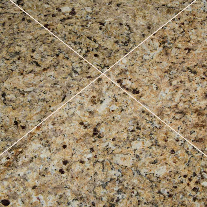 New venetian gold 12 in x 12 in polished granite floor and wall tile TNEWVENGLD1212 product shot angle view