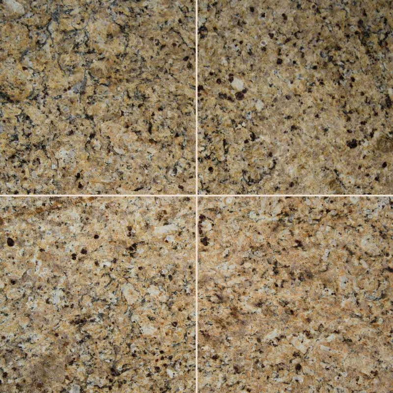 New venetian gold 12 in x 12 in polished granite floor and wall tile TNEWVENGLD1212 product shot wall view