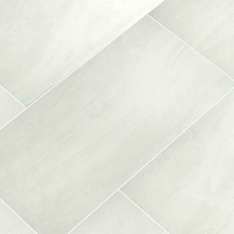 Praia White 24" x 48" Polished Porcelain Floor and Wall Tile - MSI Collection