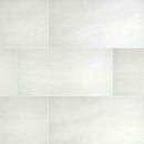 Praia White 24" x 48" Polished Porcelain Floor and Wall Tile - MSI Collection