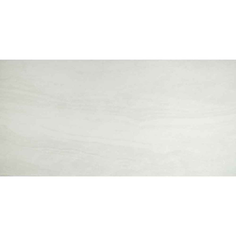 Praia White 24" x 48" Polished Porcelain Floor and Wall Tile - MSI Collection