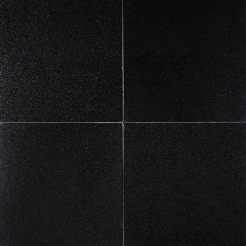 Premium black 12x12 polished granite floor and wall tile TPBLACK1212 product shot multiple tiles top view
