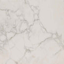 Regallo calacatta isla 12x24 matte porcelain floor and wall tile NREGCALISL1224 product shot wall view