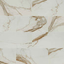 Regallo calacatta marbella 12x24 polished porcelain floor and wall tile NREGCALMAR1224P product shot wall view 2