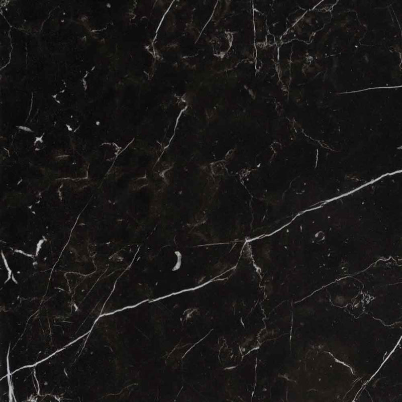 Regallo marquina noir 24x24 polished porcelain floor and wall tile NREGMARNOI2424P product shot wall view