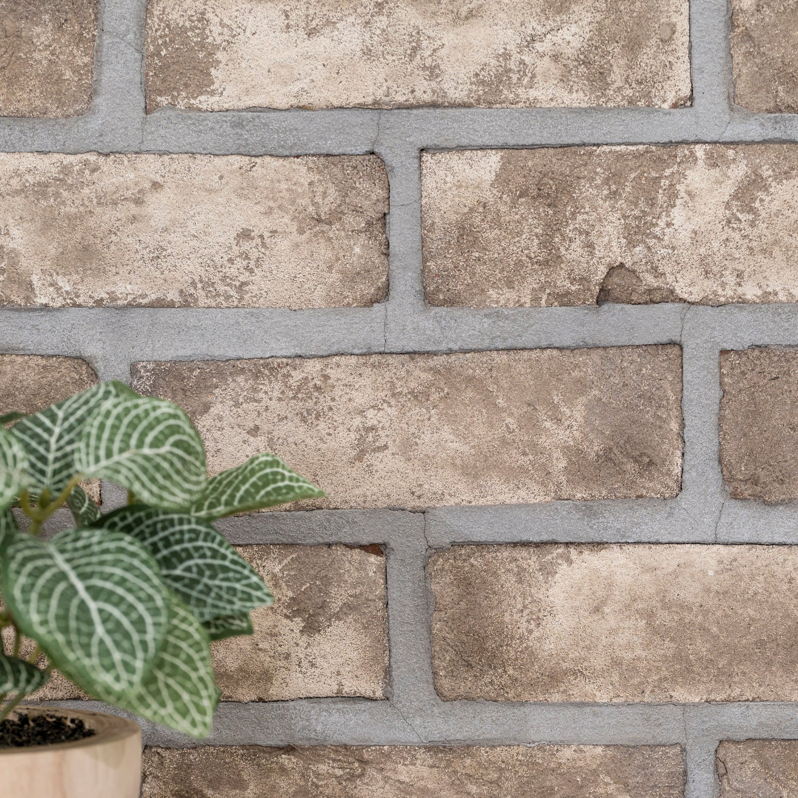 Msi Doverton Gray 105x28 Clay Brick Mosaic Tile 2557