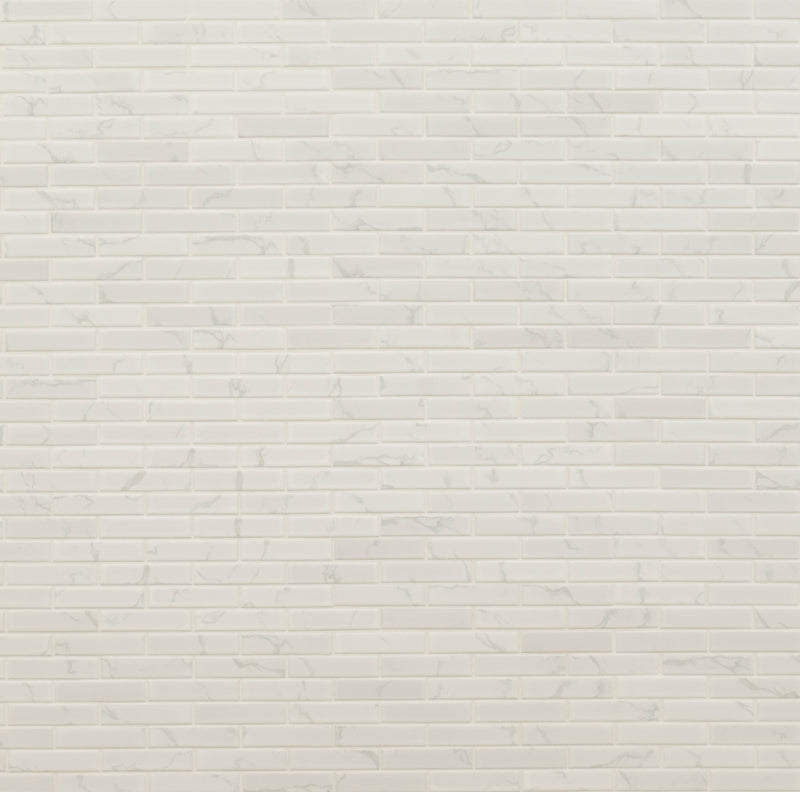 Carrara 11.81"x12.01" Matte Porcelain Floor and Wall Tile product shot wall view