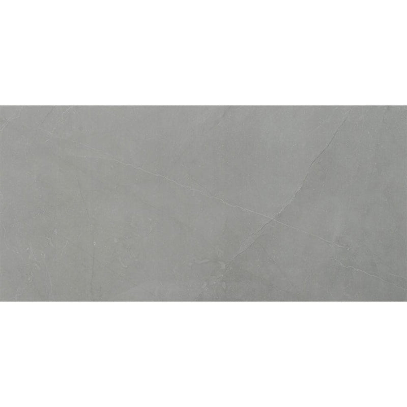Sande grey 24x48 polished porcelain floor and wall tile NSANGRE2448P product shot single tile top view