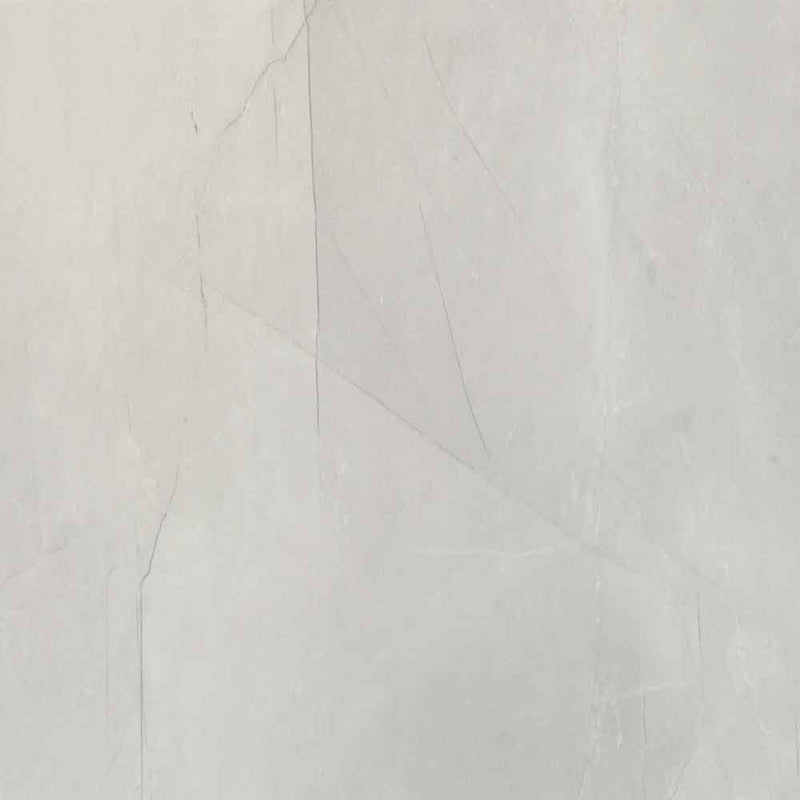 Sande ivory 24 in x 48 in matte porcelain floor and wall tile NSANIVO2448 product shot wall view