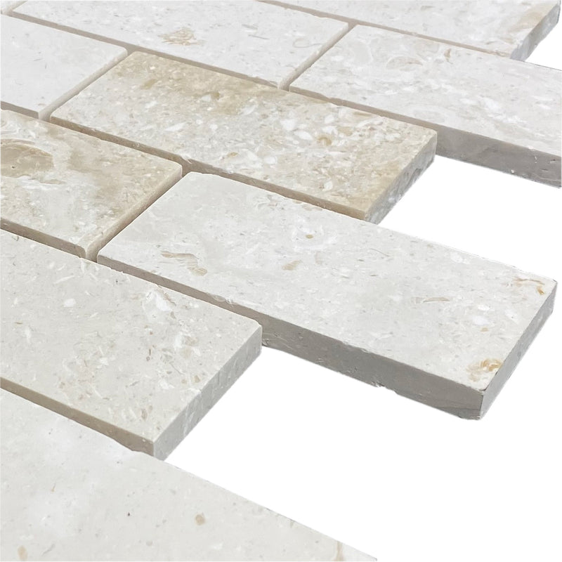Shell stone limestone mosaic 2x4 brick on 12x12 mesh honed profile view