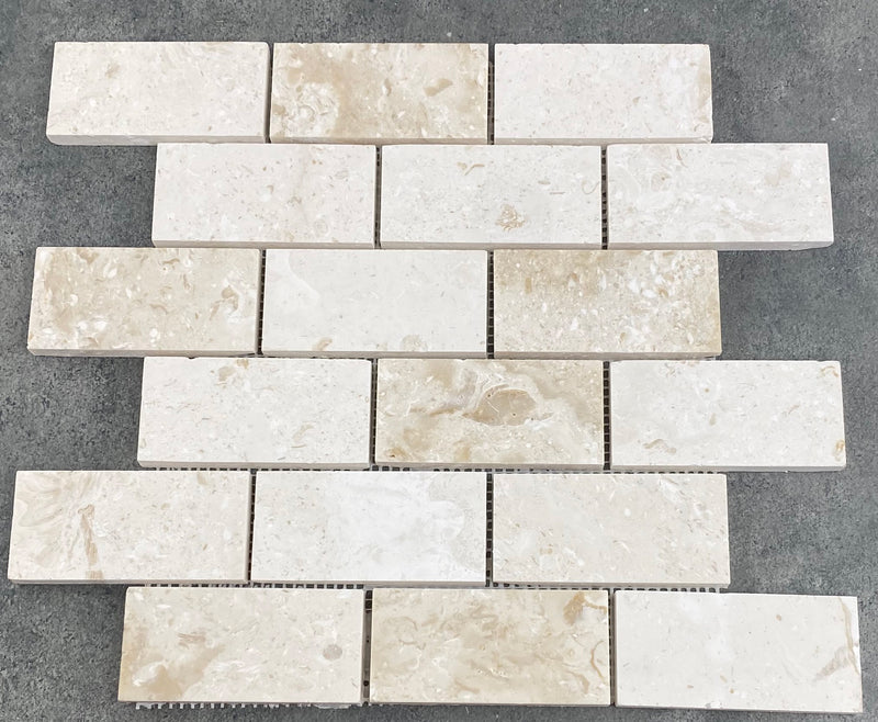 Shell stone limestone mosaic 2x4 brick on 12x12 mesh honed top view