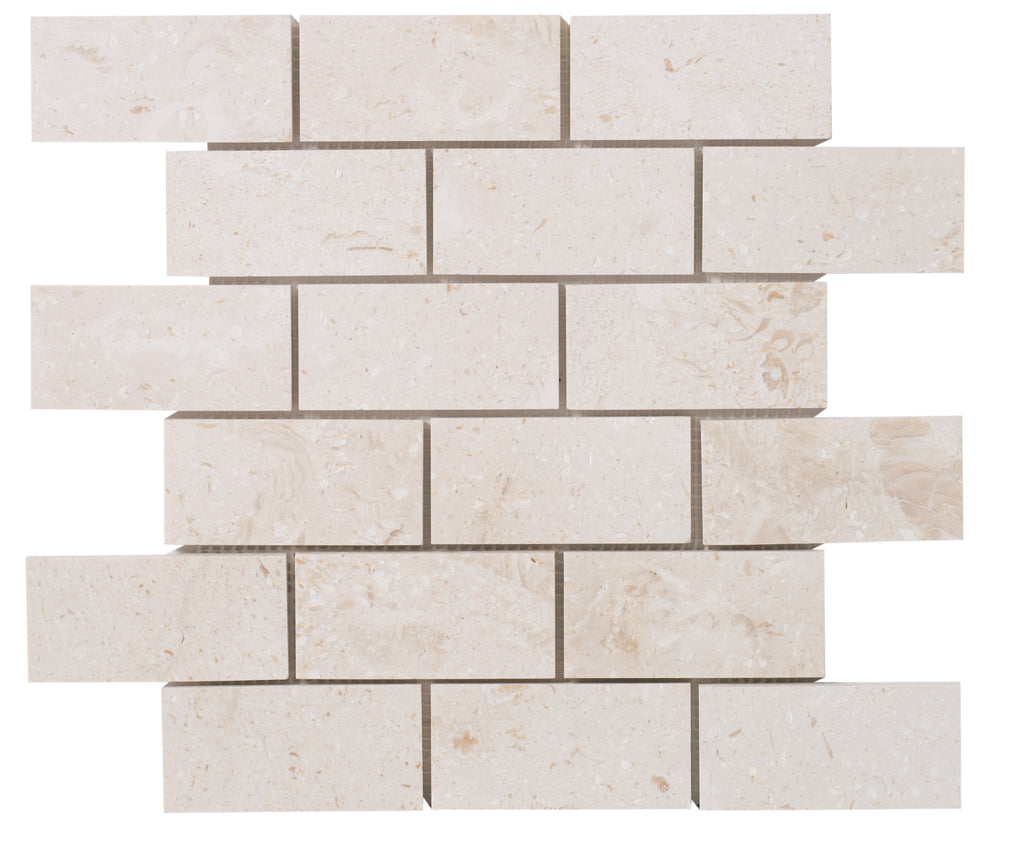 Shell Stone White Limestone Tiles 24x24 Floor and Wall Tile - Belair