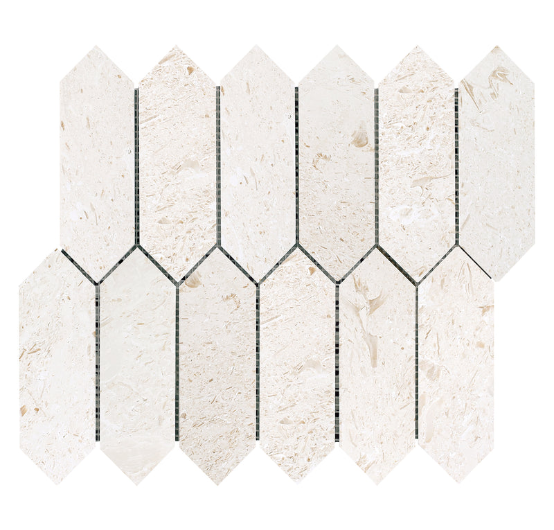 Shell stone limestone mosaic strada on 12x12 mesh honed top view