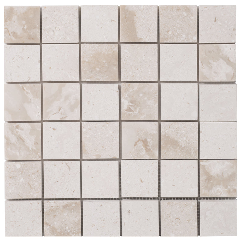 Shell stone limestone mosaic tile 2x2 on 12x12 mesh honed top view