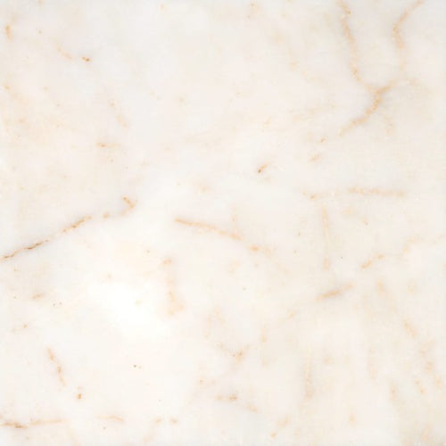 Ephesus 12"x12" Polished Marble Tile product shot wall view