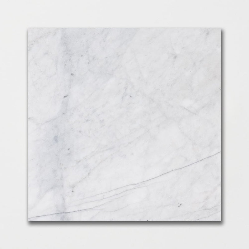 Cararra Honed 12"x12" Marble Tile product shot tile view