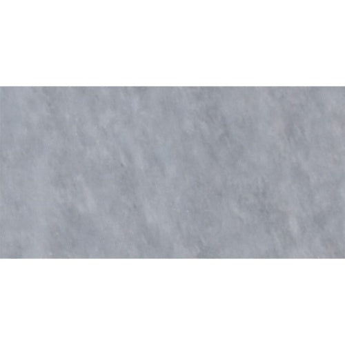 Foster Light 2 3/4"x5 1/2" Polished Marble Tile product shot wall view