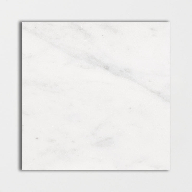 Lonte 24"x24" Polished Marble Tile product shot tile view 2
