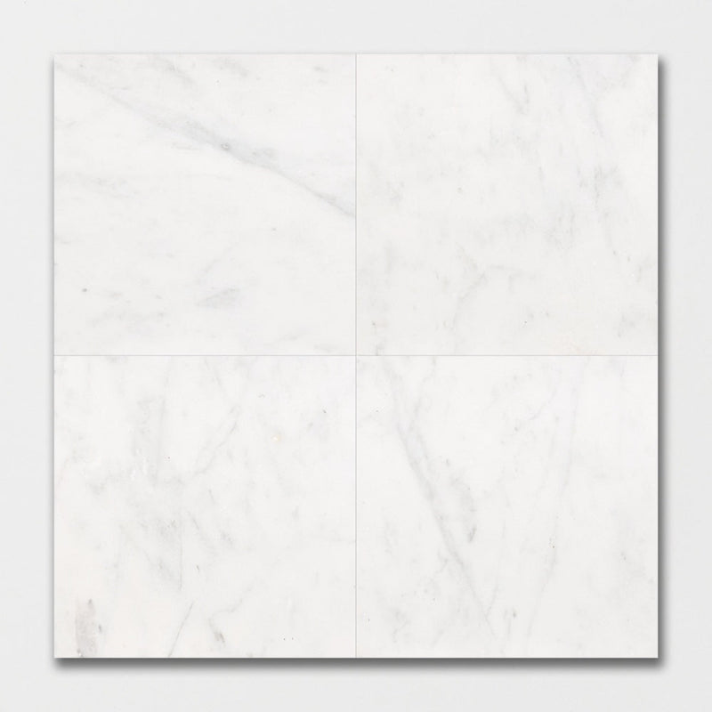 Lonte 24"x24" Polished Marble Tile product shot tile view
