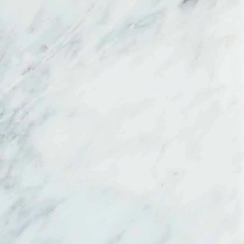 Calacatta Amore 12"x12" Polished Marble Tile product shot tile view