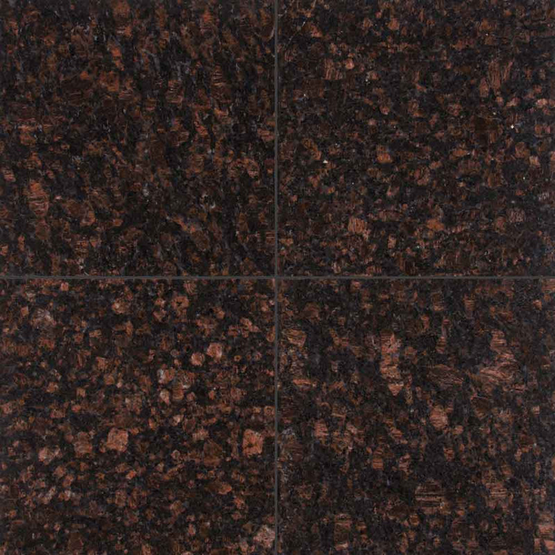 Tan brown 12 in x 12 in polished granite floor and wall tile TTANBRN1212 product shot wall view