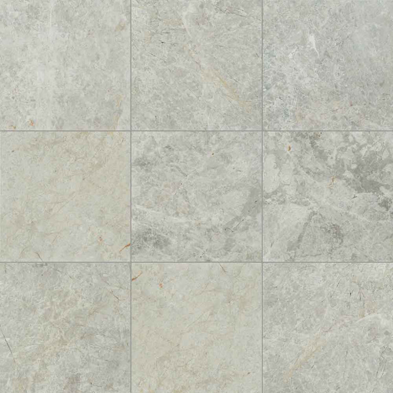 Tundra gray 12 in x 12 in polished marble floor and wall tile TTUNGRY1212P product shot wall view