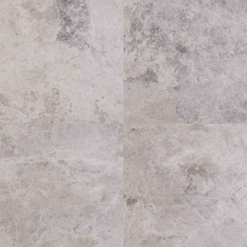 Tundra gray 18 in x 18 in polished marble floor and wall tile TTUNGRY1818P product shot wall view