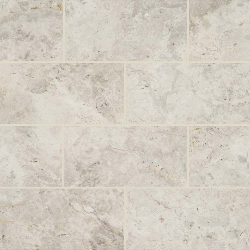 Tundra gray 3 x 6 polished marble floor and wall tile TTUNGRY3X6P product shot multiple tiles top view