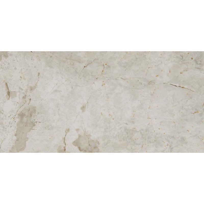 Tundra gray 3 x 6 polished marble floor and wall tile TTUNGRY3X6P product shot one tile top view