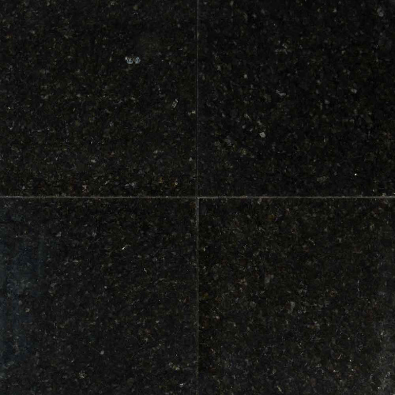 Ubatuba 12 in x 12 in polished granite floor and wall tile TUBATUBA1212 product shot wall view