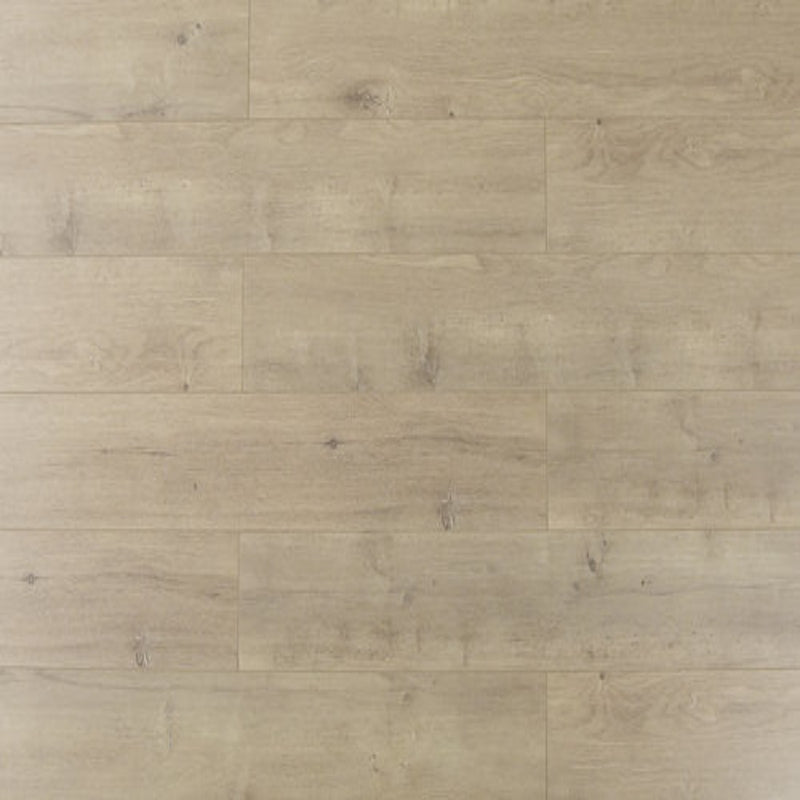 Laminate Hardwood 6.75" Wide, 48" RL, 12mm Thick Textured Papapindo Ultra Taupe Floors - Mazzia Collection product shot tile view