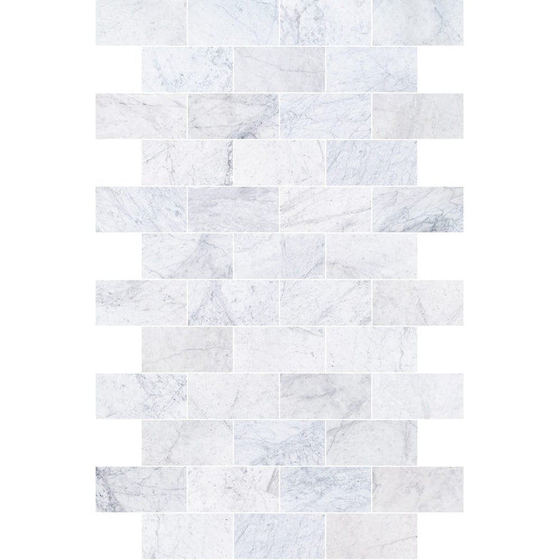 bianco carrara marble tile 12x24 polished top view grouted
