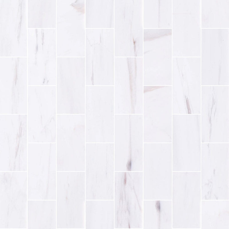 bianco dolomite marble tile 3x6 honed top view grouted