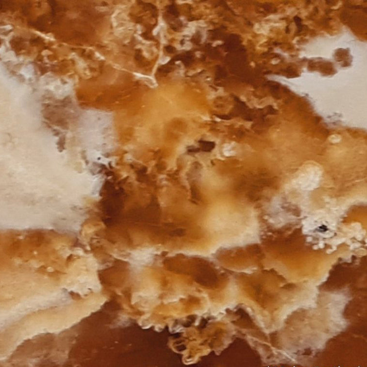 cola honey transluscent onyx slabs polished 2cm 2 product shot closeup