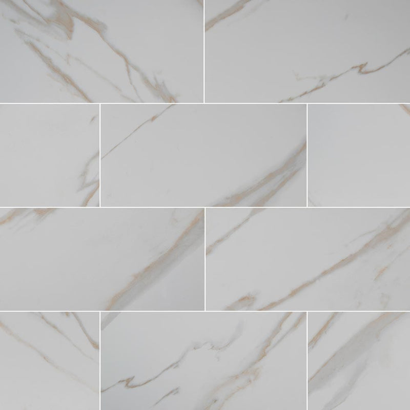 pietra calcatta glazed polished porcelain floor and wall tile msi collection NPIECAL1224P product shot multiple tiles top view