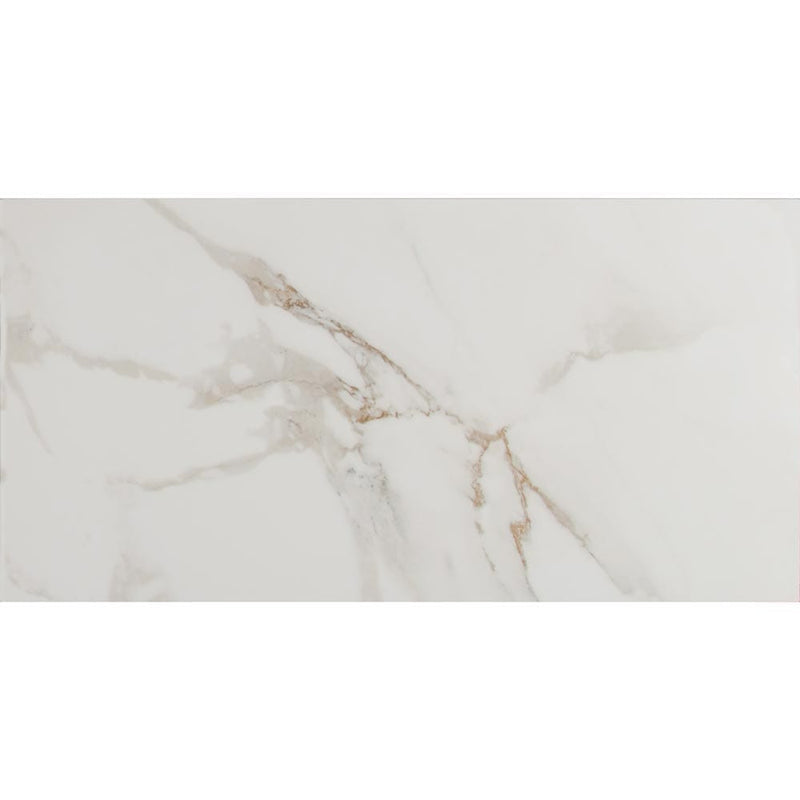 pietra carrara 12x24 glazed polished porcelain floor and wall tile msi collection NPIECAR1224P product shot one tile top view