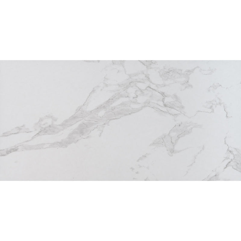Praia Carrara Glazed Porcelain Floor and Wall Tile- MSI Collection NPRACAR1224 Product Shot One Tile Top View