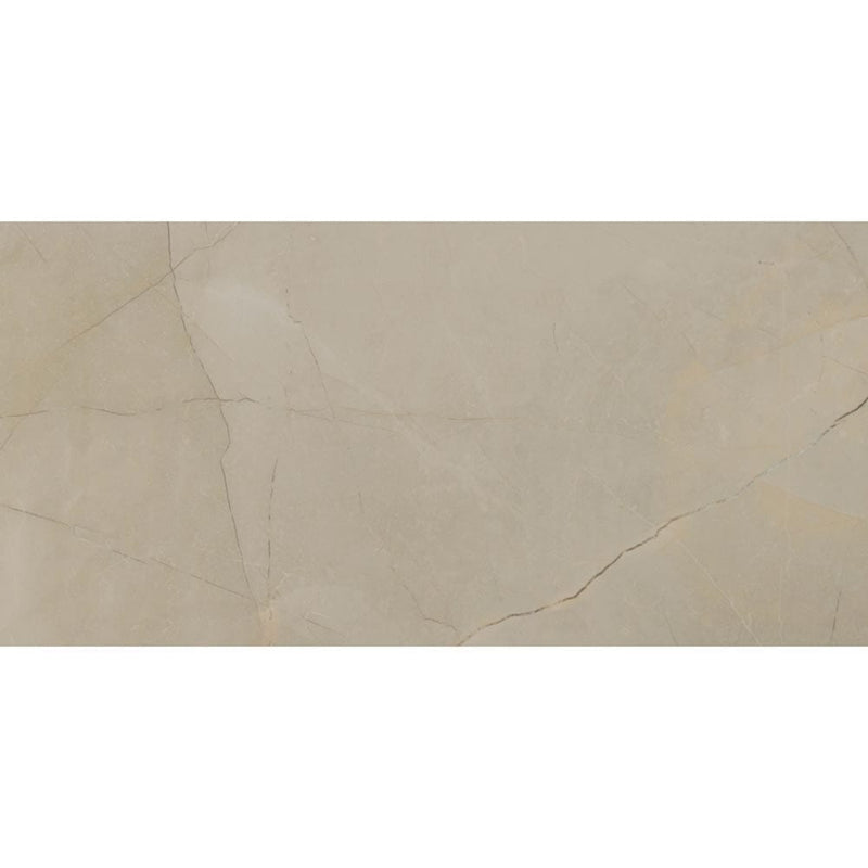 sande cream polished porcelain floor and wall tile msi collection NSANCRE1224P product shot one tile top view
