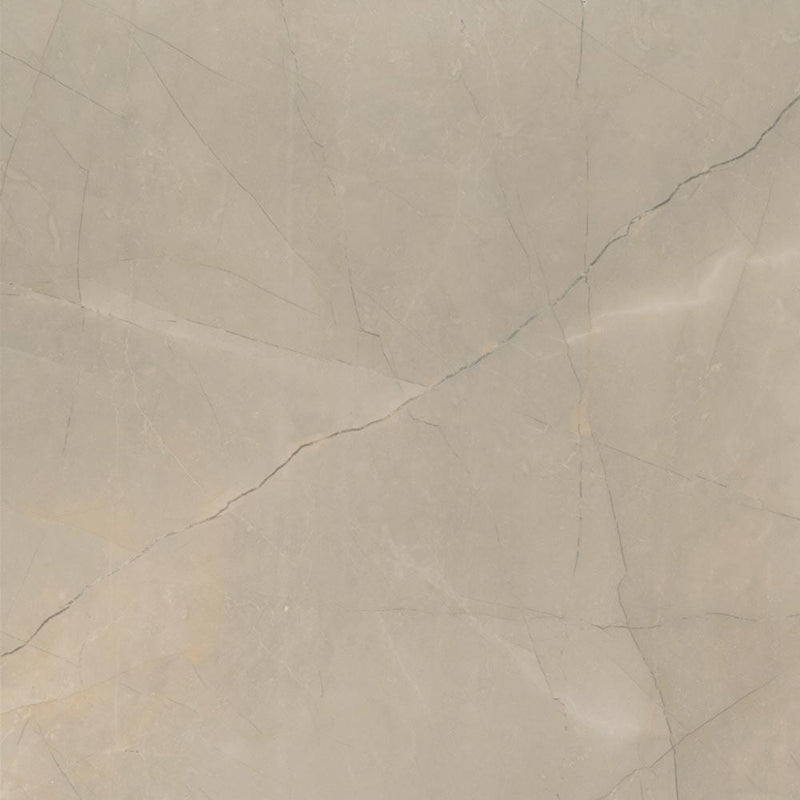 sande cream polished porcelain floor and wall tile msi collection NSANCRE2424P product shot one tile top view